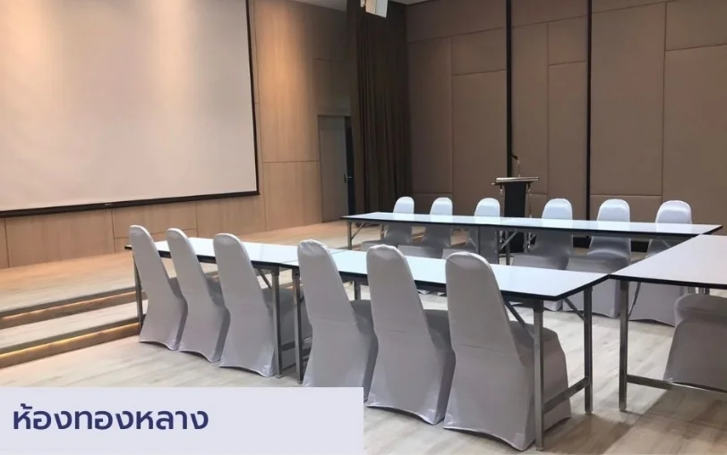Thonglang – Focus & Collaboration